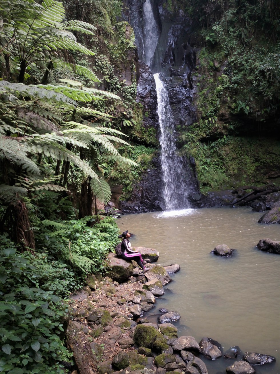 Hiking in the Aberdares