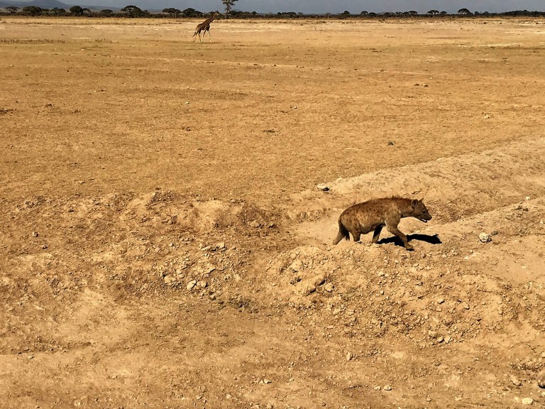 Amboseli National Park