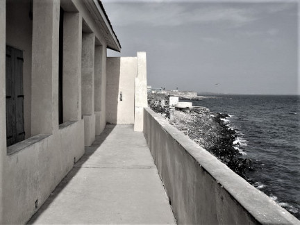 Slave trade studies in Africa